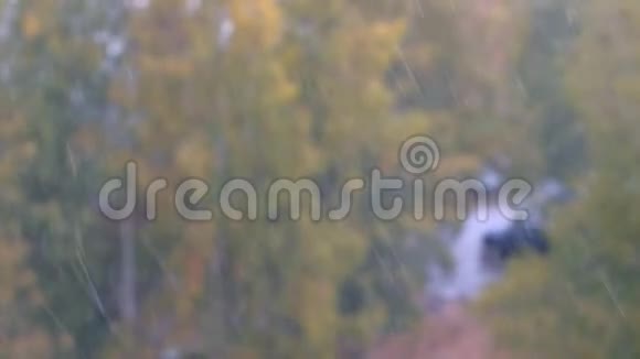 秋天的暴风雪伴随着降雪雨风在五颜六色的树木背景上视频的预览图