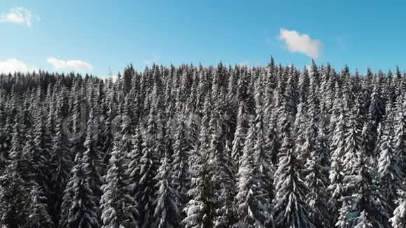 山地中的冬林空中冻结的雪景视频的预览图