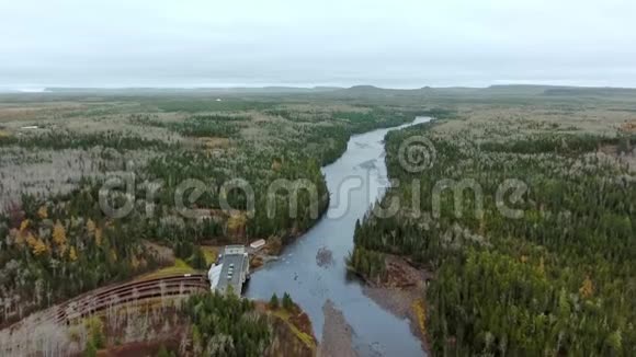 无人机在浅水河和无尽的森林之上升起加拿大安大略省卡米尼斯蒂基亚河视频的预览图