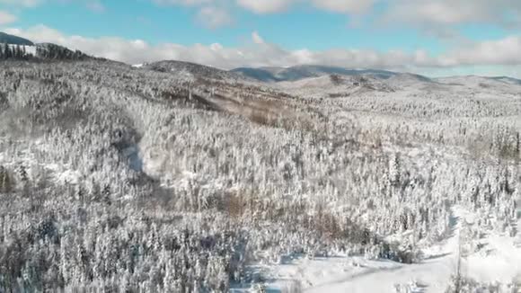 山地中的冬林空中冻结的雪景视频的预览图