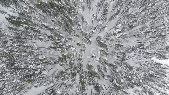 冬季雪山森林美丽的空中拍摄视频的预览图