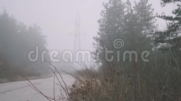 雾蒙蒙的冬山森林松树在乌云密布的日子高姿态的远足电影院的宁静视频的预览图