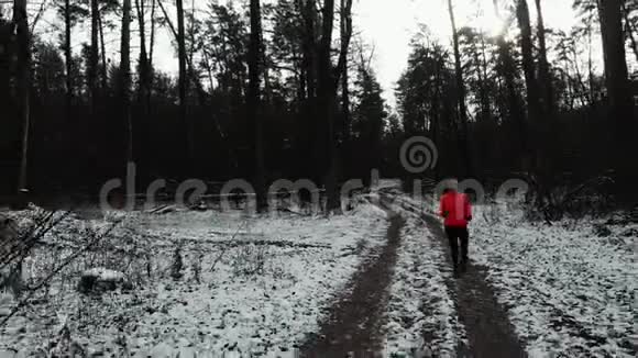 女性在冬季公园慢跑年轻漂亮的女人在森林里奔跑早上在户外运动的职业运动员视频的预览图