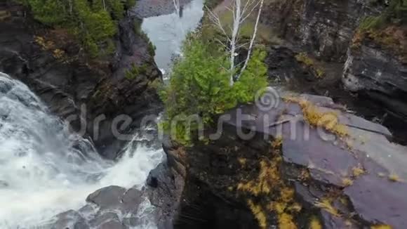 瀑布悬崖秋树和河流的空中镜头加拿大安大略省卡卡贝卡瀑布卡米尼斯蒂基亚河视频的预览图