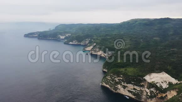 从无人驾驶飞机上俯瞰壮丽的海岸悬崖覆盖着绿色植物和植被亚洲景观景观视频的预览图