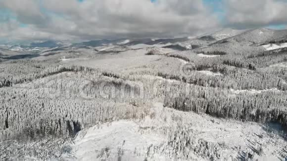 山地中的冬林空中冻结的雪景视频的预览图