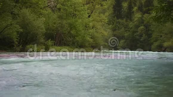 山野河流经绿色森林视频的预览图