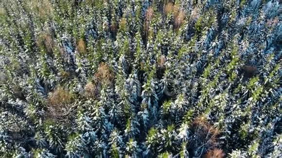 冬季季节雪山森林美丽的空中射击视频的预览图