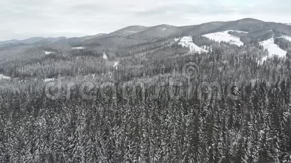 冬季季节雪山森林美丽的空中射击视频的预览图
