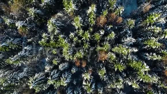 冬季季节雪山森林美丽的空中射击视频的预览图