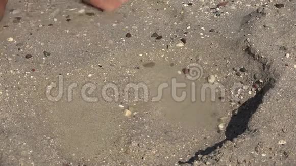 4K童手在海滩上儿童在海滩上玩沙女孩在海岸视频的预览图
