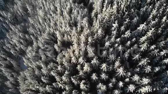 山地冬林空中冰冻雪景雪季视频的预览图
