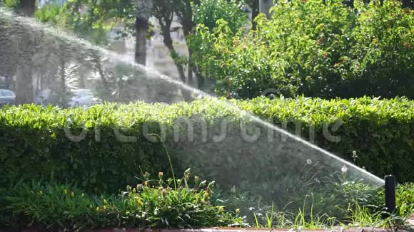 自动草坪浇水系统视频的预览图