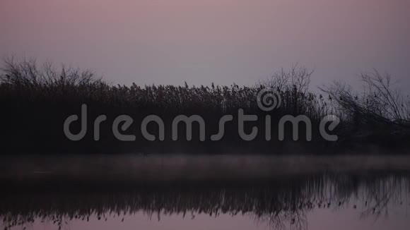 早晨雾在日出湖上河流的薄雾景观自然概念视频的预览图