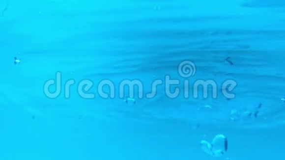 水下海洋环境空气泡慢运动视频的预览图