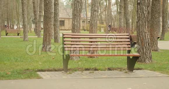 女人来了坐在公园的长凳上开始读一本穿着壕沟和棕色围巾的书阅读概念视频的预览图