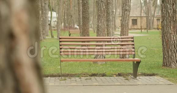 英俊的胡子男人坐在公园的长凳上拿着一本书打开一本书翻页开始阅读公园概念阅读视频的预览图