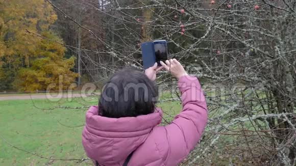 公园里的白人中年妇女在智能手机上摘树视频的预览图