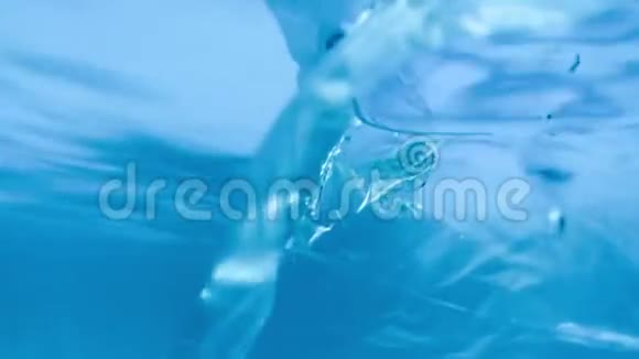 水下海景漂浮在海洋中的塑料垃圾袋视频的预览图