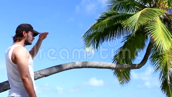帅哥在棕榈树旁边看着视频的预览图
