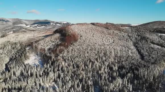 冬令雪山森林空中拍摄自然景观冻林视频的预览图
