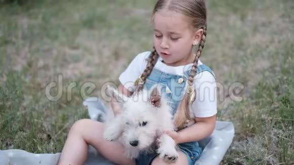 可爱的小女孩坐在草地上夏天抱着一只白色的小狗视频的预览图