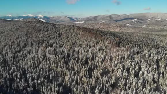 冬令雪山森林空中拍摄自然景观冻林视频的预览图