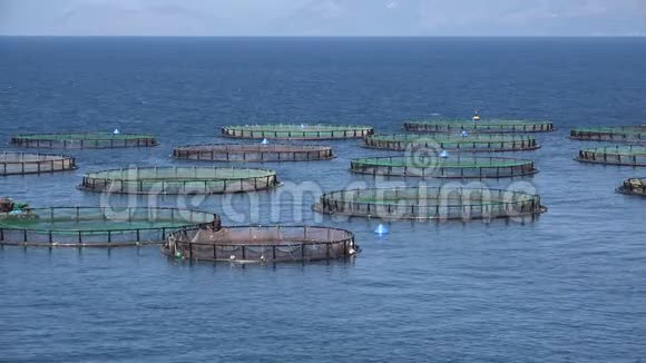 4K海上养鱼场孵化场捕鱼希腊水产养殖饲养视频的预览图