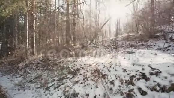 阳光透过林间树木发光冬季雪日远足电影电影大观山视频的预览图
