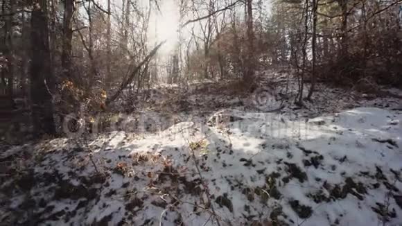 阳光透过林间树木照耀冬天雪日远足电影开阔视野山视频的预览图