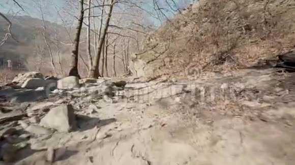 山林沙路飞照相机飞越高山落基山脉阳光明媚的冬日视频的预览图