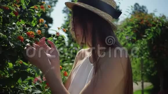 女人在盛开的灌木丛中嗅花视频的预览图