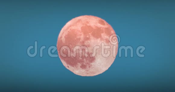 美轮美奂的大月晨曦橙色特写动画无缝大低月在温暖的扭曲中发光视频的预览图