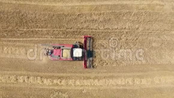 农田收割机在农村地区空中俯视采集熟麦穗视频的预览图