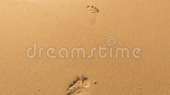 沙滩上孤独的脚印被海浪冲走了视频的预览图