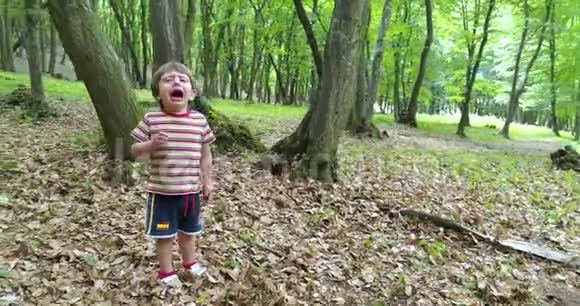 可爱的男孩在森林里哭泣视频的预览图