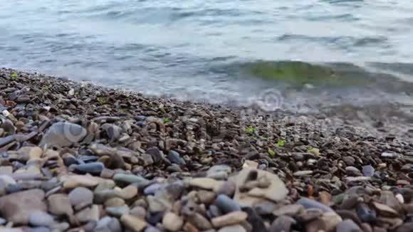 平静宁静的海浪拍打在鹅卵石海滩上傍晚的海岸视频的预览图