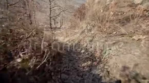 山林沙路飞照相机飞越高山落基山脉阳光明媚的冬日视频的预览图
