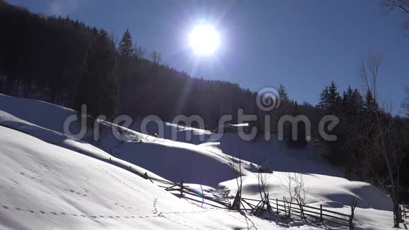 4冬季景观雪中针叶林白天森林景观视频的预览图