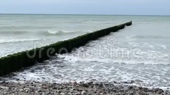 波罗的海沿岸有传统的木制小树林暴风雨天气视频的预览图