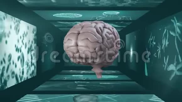 胡曼大脑在内侧扫描屏幕上旋转的动画视频的预览图