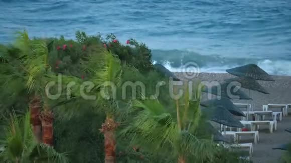 沙滩上的大风和海上或海洋上的风暴视频的预览图