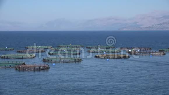 4K海上养鱼场孵化渔业希腊水产养殖喂养视频的预览图