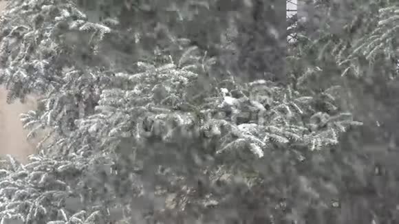4窗上下雪等待礼物圣诞老人圣诞场景冬景视频的预览图