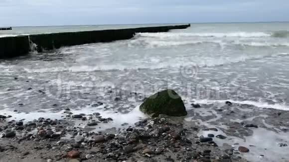 波罗的海沿岸有传统的木制小树林暴风雨天气视频的预览图