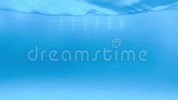 水下海景美丽的蓝色水面视频的预览图