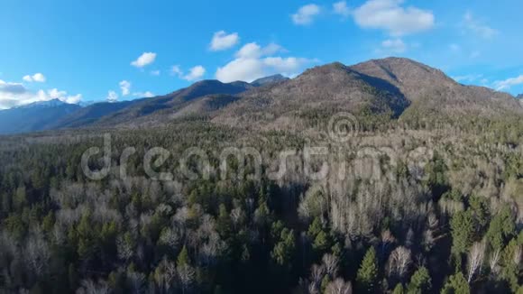 无人驾驶飞机飞越森林飞向群山视频的预览图