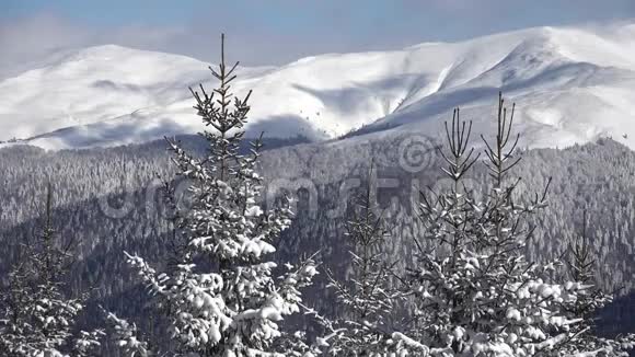 冬季景观雪山和森林滑雪胜地阿尔卑斯山的圣诞雪阿尔卑斯山的景色视频的预览图