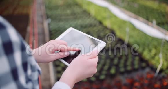 园丁使用数字平板电脑在温室视频的预览图