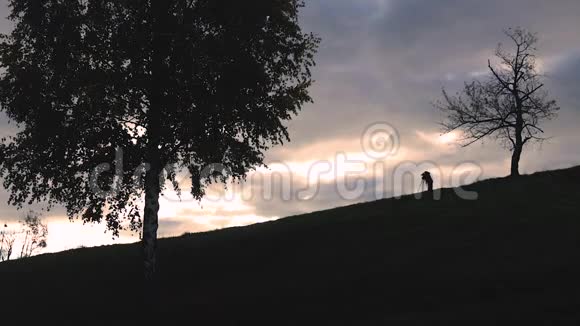 摄影师在日落时在田野里拍摄孤独的树美丽的斯洛文尼亚景观视频的预览图